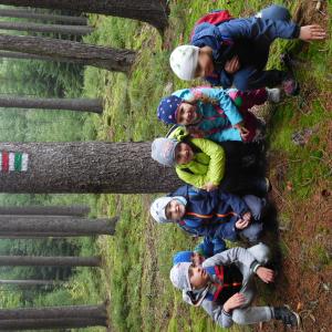 dscn7432.jpg