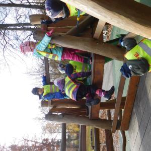 dscn1118.jpg